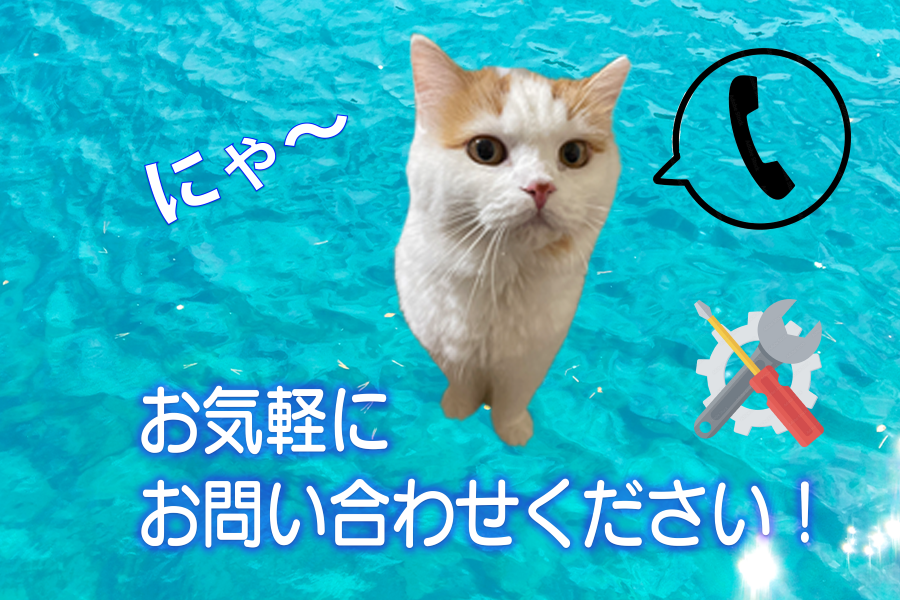 お問い合わせ受付の猫の写真